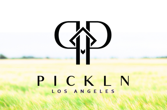 PicklePerfect Demo Experience